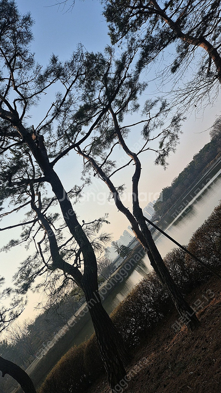 콜드플레이 아무자리나 삽니다--0