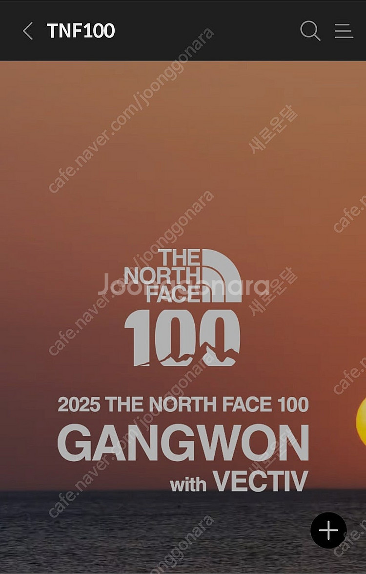 2025 노스페이스 TNF 100 양도 구합니다.--0