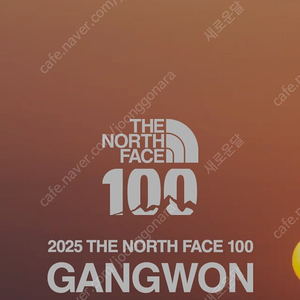 2025 노스페이스 TNF 100 양도 구합니다.