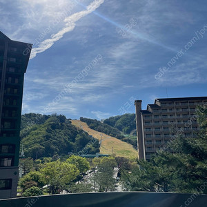 콜드플레이 두장 제발요 ㅠㅜ