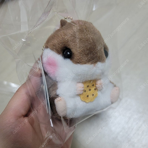 어뮤즈 코로하무코론 인형 키링 햄스터 햄토리 햄찌