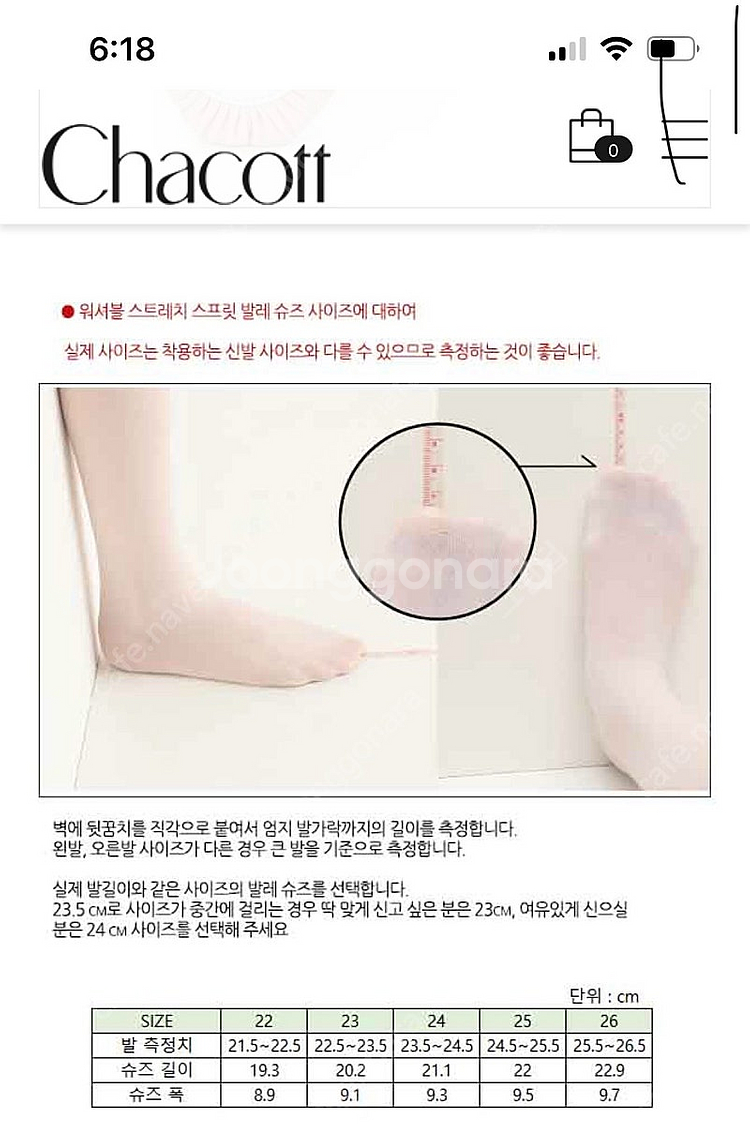 Chacott 차코트 발레슈즈--3
