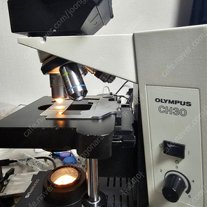 현미경 올림푸스 CH30RF200