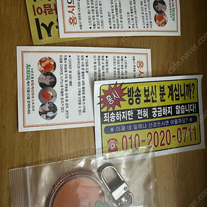 박홍시 키링