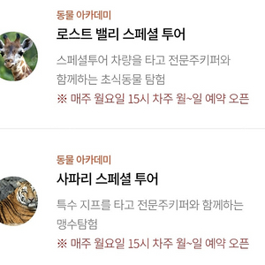 에버랜드 사파리 or 로스트밸리 스페셜투어 5월 2일