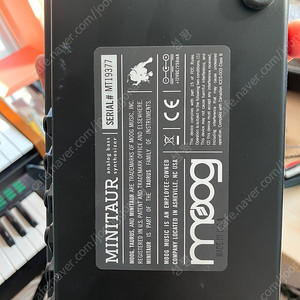 Moog minitaur 박풀
