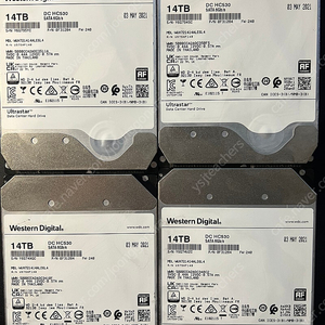 웨스턴디지털 14TB hc530 ultrastar 2개