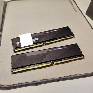 ESSENCORE KLEVV DDR4-3600 CL18 BOLT X 서린 (16x2 32GB)