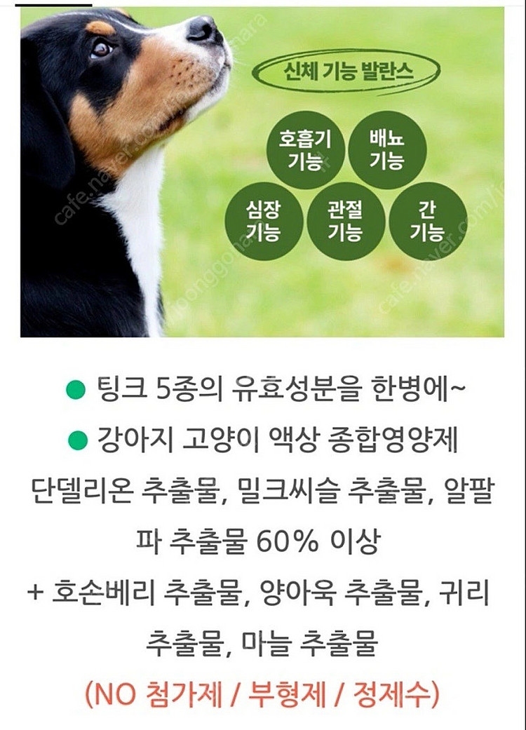 애니멀 에센셜 종합영양제 액상형 30ml--1
