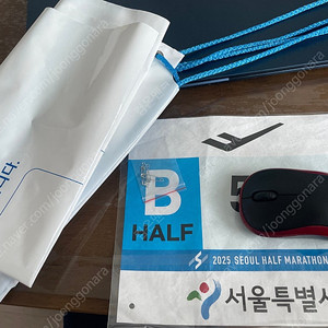 서울하프마라톤(서하마) 하프코스 배번
