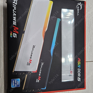 G.SKILL Ripjaws M5 RGB DDR5 램 96GB (48GB x2)