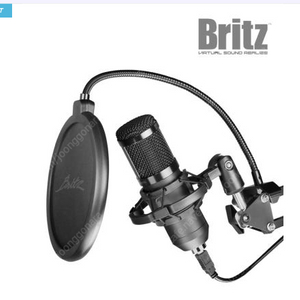 [미개봉] 신제품 브리츠 Britz BZ-STM530 유튜버 마이크