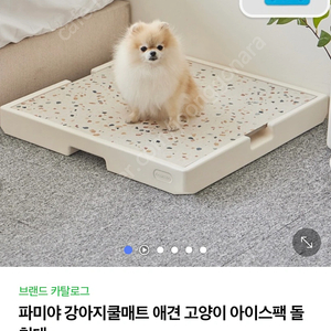 파미야 강아지 대리석 쿨매트
