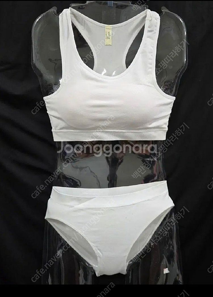 ,스포츠브라&팬티10세트100L/새상품 무료배송--2