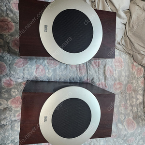 브리츠스피커