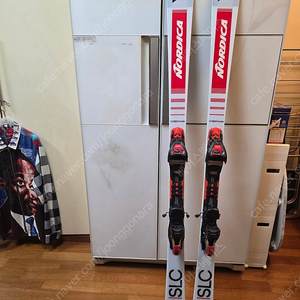 노르디카 slc 165 스키 판매합니다