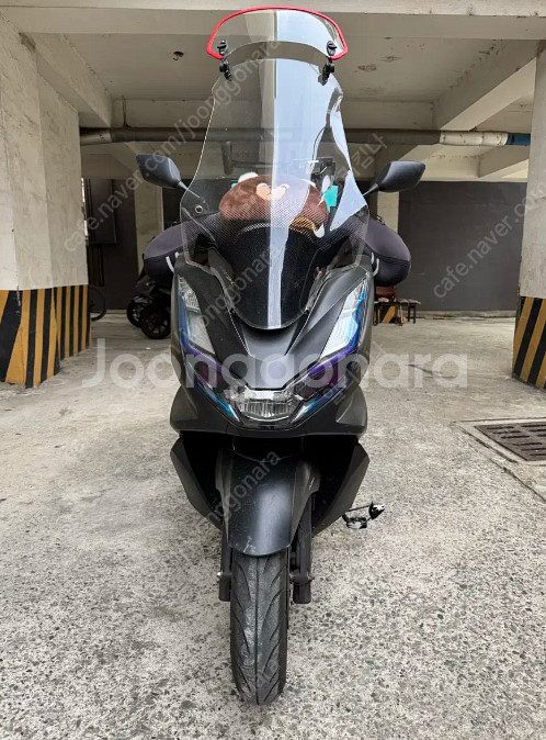 PCX125 24년식 판매합니다~--1