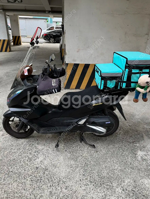 PCX125 24년식 판매합니다~--0