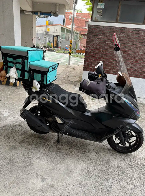 PCX125 24년식 판매합니다~--2