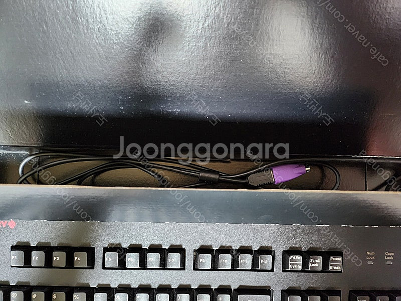 체리 오리지널 기계식 키보드 G80-3494L(적축/블...--3