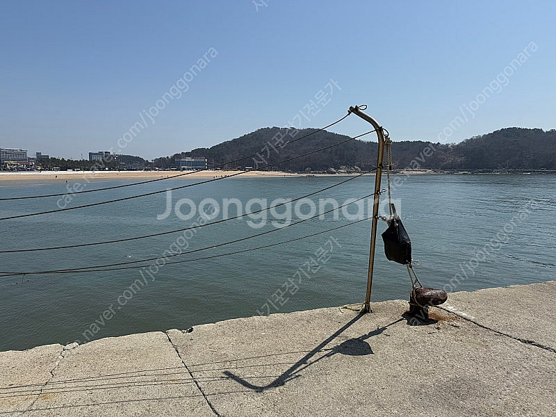 4월 26일 토요일 메가박스 코엑스 야당 무대인사 오후...--0