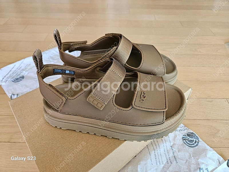 어그 골든글로우 (37)235--1