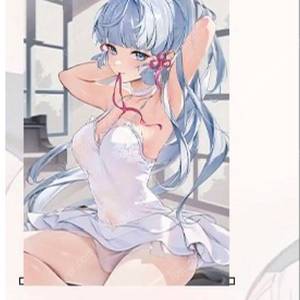 c101 호우키세이 원신 아야카 태피스트리