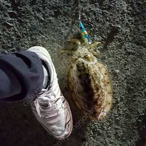 참앤에어 602mt 삽니다