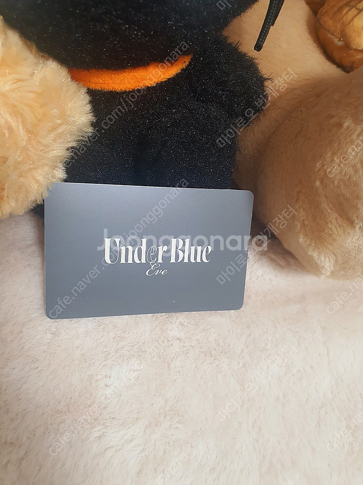 {새상품} 고양이 뱃지 2종 + 청저반 포토카드 우타이...--2