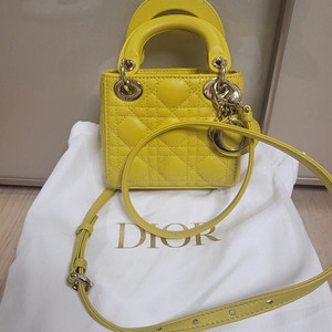 디올 dior 마이크로레이디백