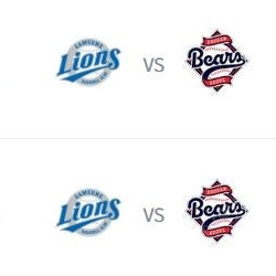 <최저가, 신뢰판매자> 삼성 VS 두산 05.03 토요일, 05.04 일요일 경기 내야, 외야 명당 1~8연석 양도합니다!