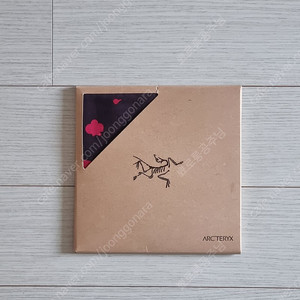 아크테릭스(ɅRC'TERYX) 스카프 반다나