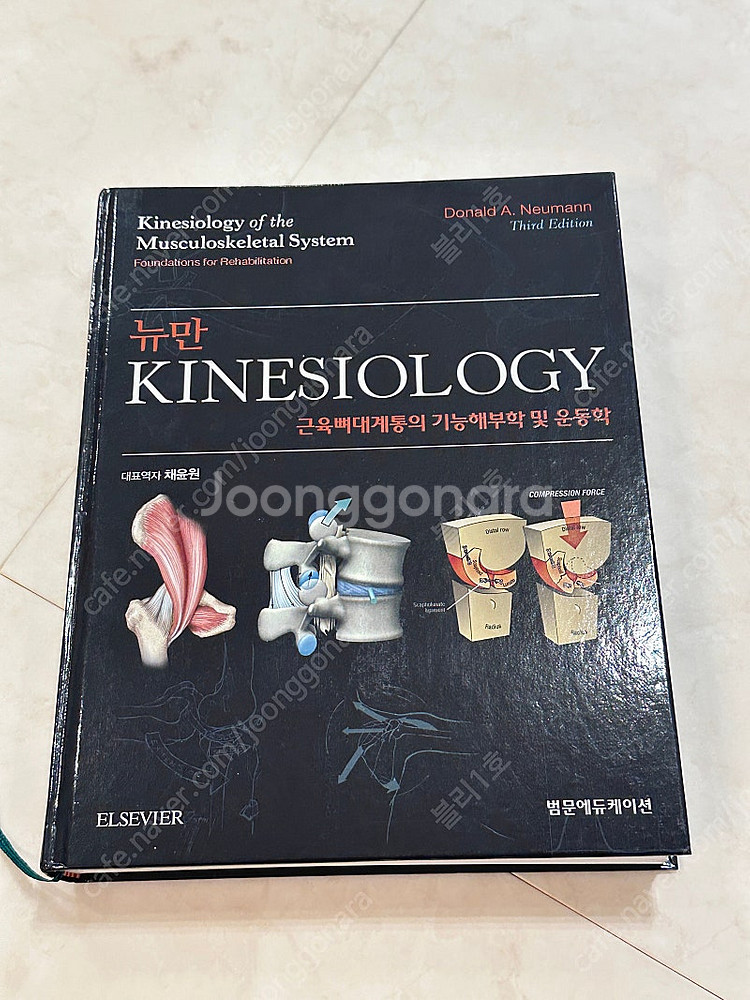 뉴만 키네시올로지, 얀다의 근육 불균형의 평가와치료, ...--0