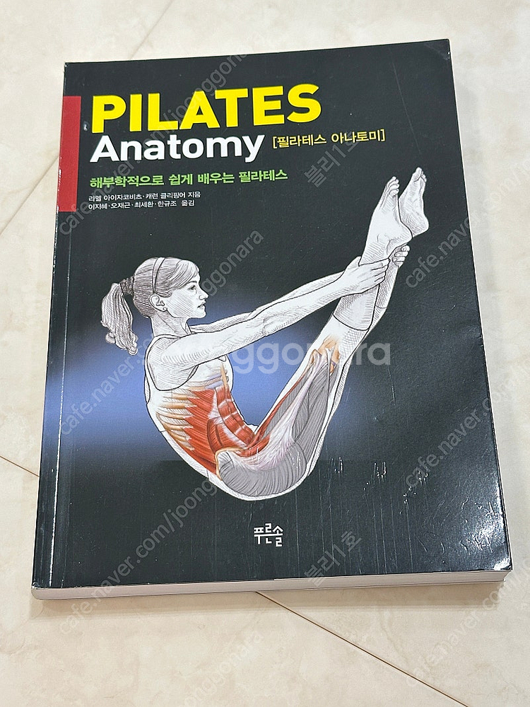 뉴만 키네시올로지, 얀다의 근육 불균형의 평가와치료, ...--2
