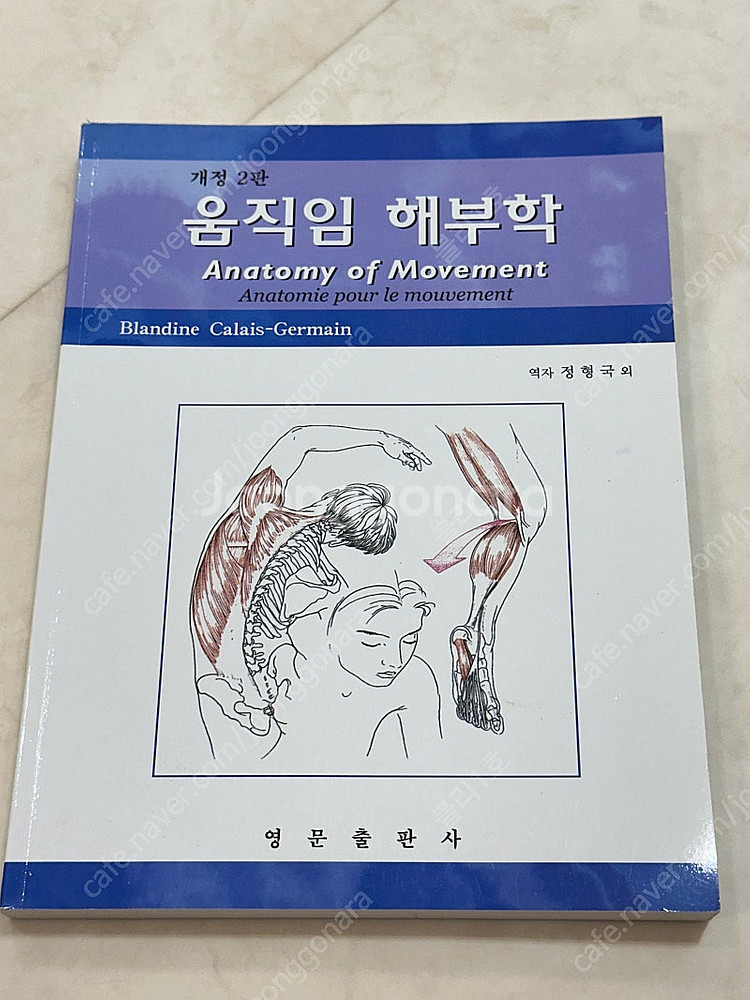 뉴만 키네시올로지, 얀다의 근육 불균형의 평가와치료, ...--3