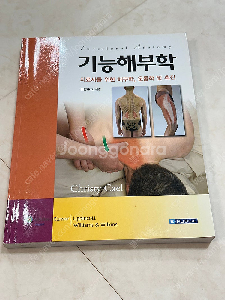 뉴만 키네시올로지, 얀다의 근육 불균형의 평가와치료, ...--4