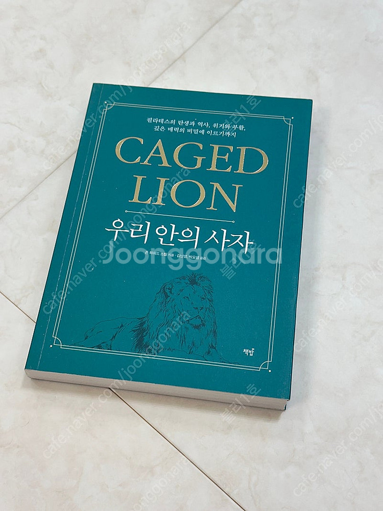 뉴만 키네시올로지, 얀다의 근육 불균형의 평가와치료, ...--5