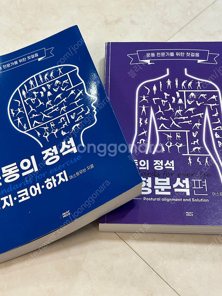 뉴만 키네시올로지, 얀다의 근육 불균형의 평가와치료, ...--6