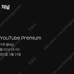 유튜브 프리미엄 페루 1년