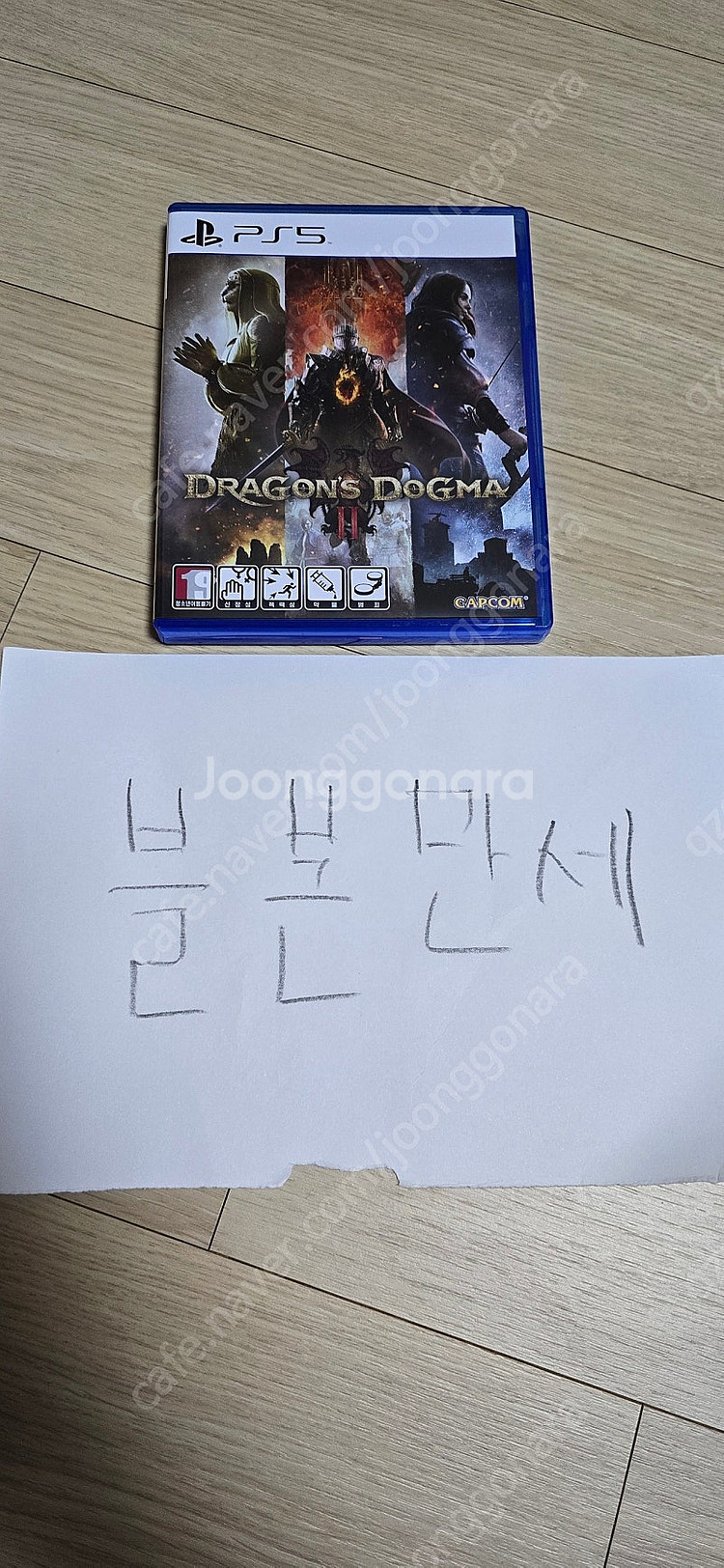 PS5 드래곤즈 도그마2--0