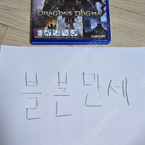 PS5 드래곤즈 도그마2