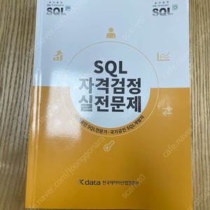 SQL 자격검정 실전문제 노랭이 개정판, 2025 이기적 빅데이터분석기사 필기, 2024 미어캣 ADsP