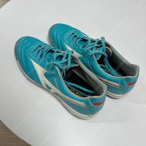 미즈노 모렐리아2 AS TF 풋살화 260
