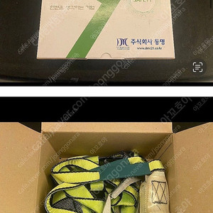 전체식 안전벨트