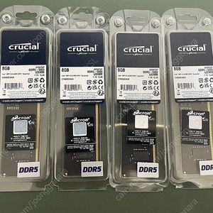 마이크론 ddr5 5600 8g 4장 일괄판매