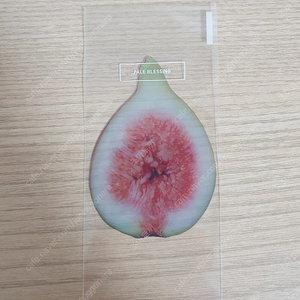 이옥토 옥토 무화과 책갈피