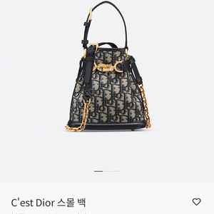 디올 쎄디올백 C'est Dior 스몰
