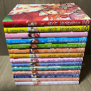 5등분의 신부 -14 전권