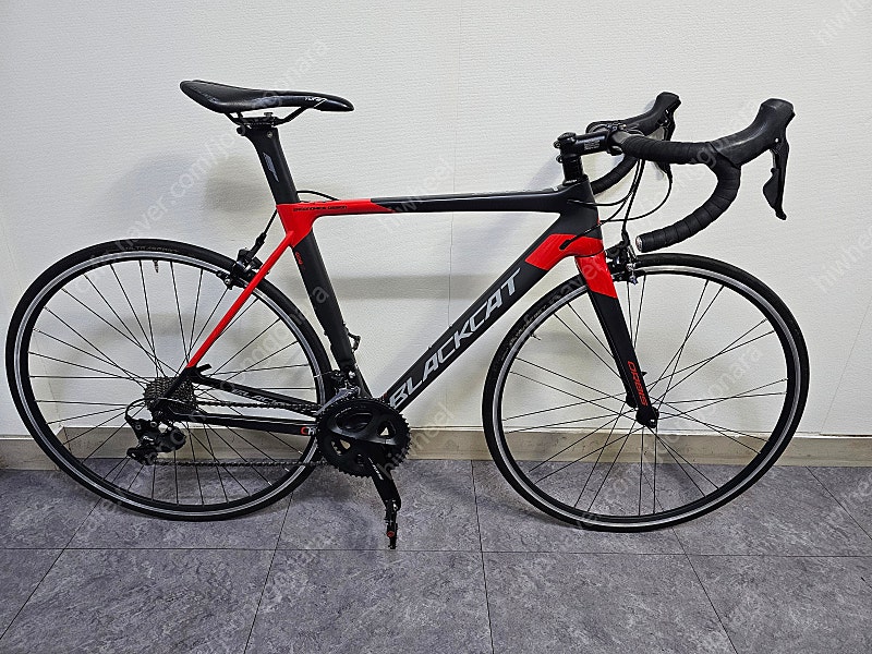 블랙캣 오르비스 풀카본 105 R7000 22단 50 사이즈