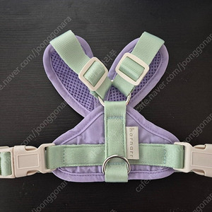 하르나르 하네스s사이즈